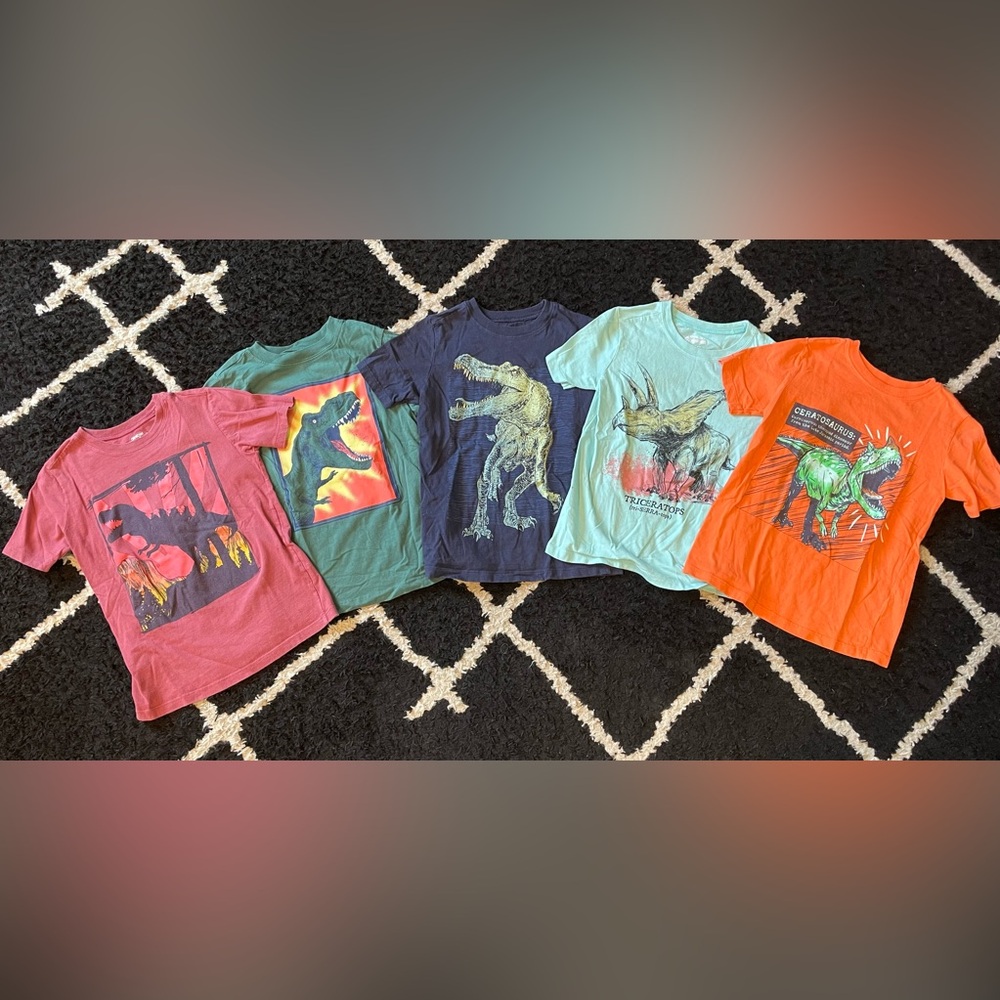 Dinosaur Graphic Kids T-Shirt Set - Multicolor